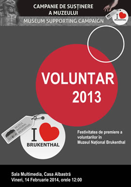 “Over 1.500 hours of volunteer work” or “Another way to declaring love”: The Volunteer 2013 Awarding Festivity