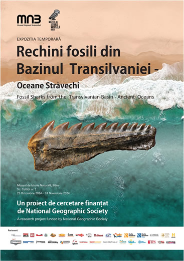 Expoziția „Rechini fosili din Bazinul Transilvaniei – Oceane străvechi”