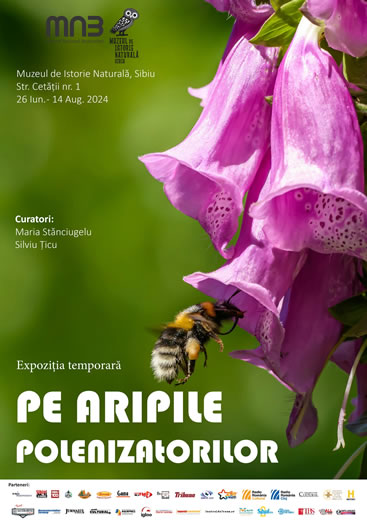 Expoziția: Pe aripile polenizatorilor