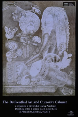 Exhibition: The Brukenthal Art and Curiosity Cabinet