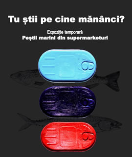 Exhibition: Sea fishes in the supermarkets