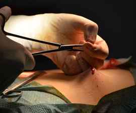 Seminar: Medical photography – techniques, equipment, usage