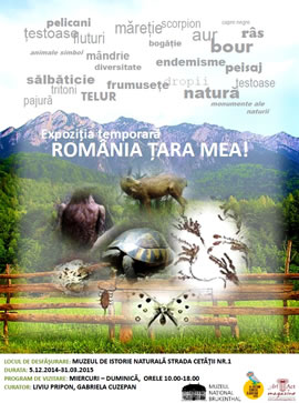 Exhibition: Romania – my country!
