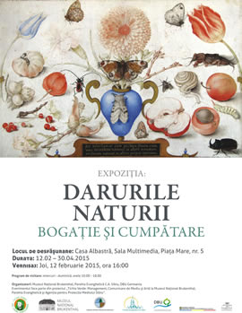 Exhibition: Gifts of nature. Wealth and Moderation