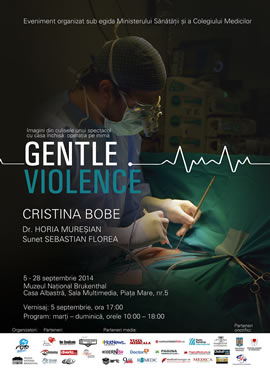 Exhibition: Gentle Violence