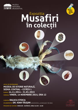 Exhibition: Guests in the collections 
