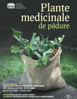 Exhibition: Medicinal plants from the forest