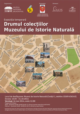 Exhibition: The Road of the Collections at the Museum of Natural History