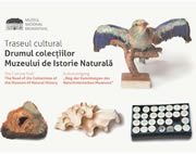 Drumul colecţiilor