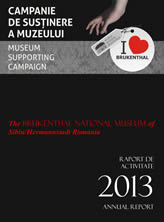 Raportul MNB anul 2013